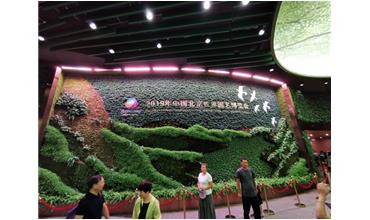 2019北京世園會，我們來啦