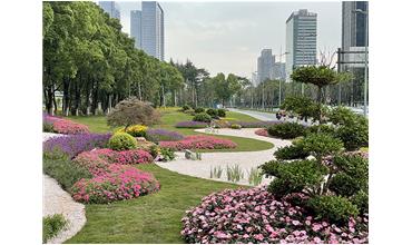 來現(xiàn)場(chǎng)打卡，感受“美麗無錫”的美好